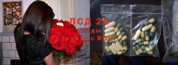 гашик Алексин