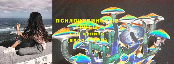 ГАЛЛЮЦИНОГЕННЫЕ ГРИБЫ Абдулино