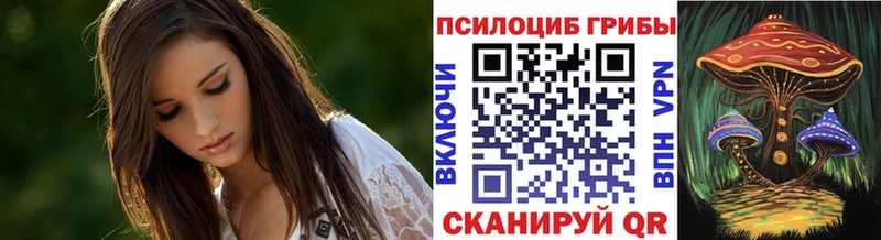 купить   Троицк  Галлюциногенные грибы Magic Shrooms 