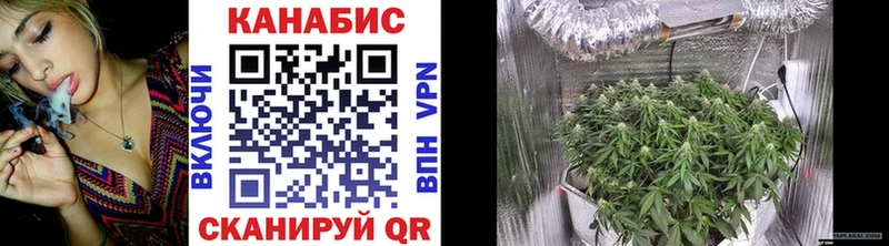 Каннабис план  как найти закладки  Троицк 